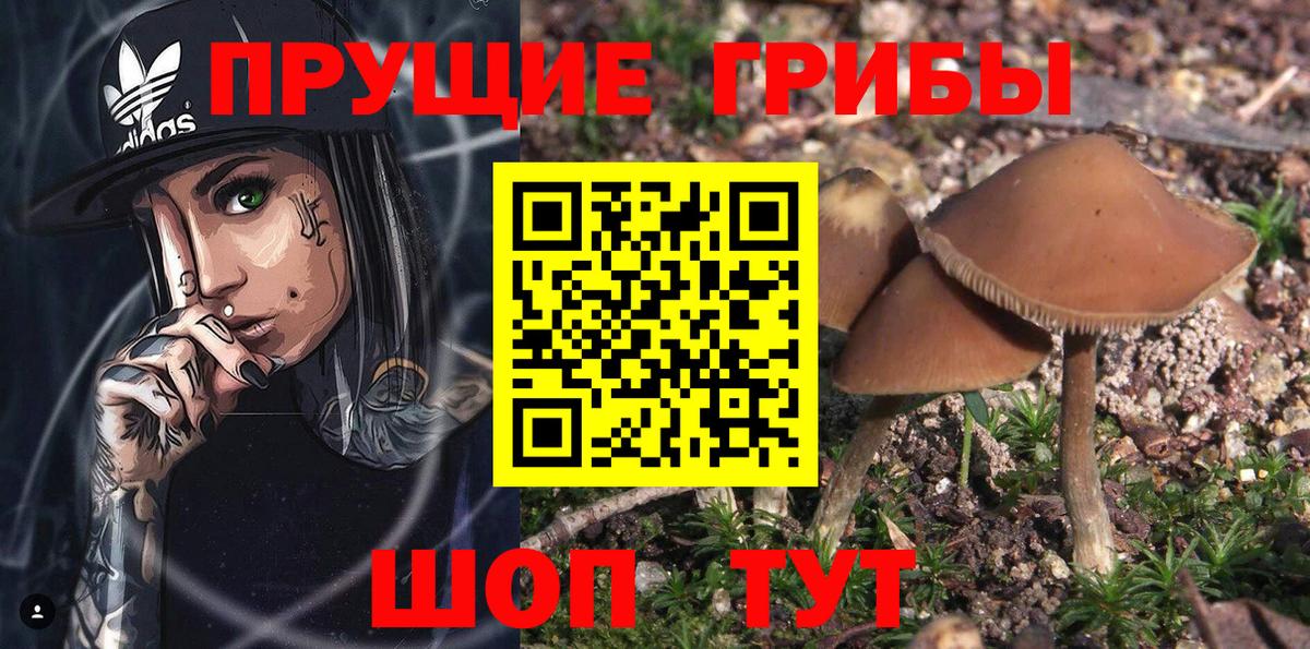 Галлюциногенные грибы мухоморы  Вход с VPN  Артёмовский  Галлюциногенные грибы мицелий 
